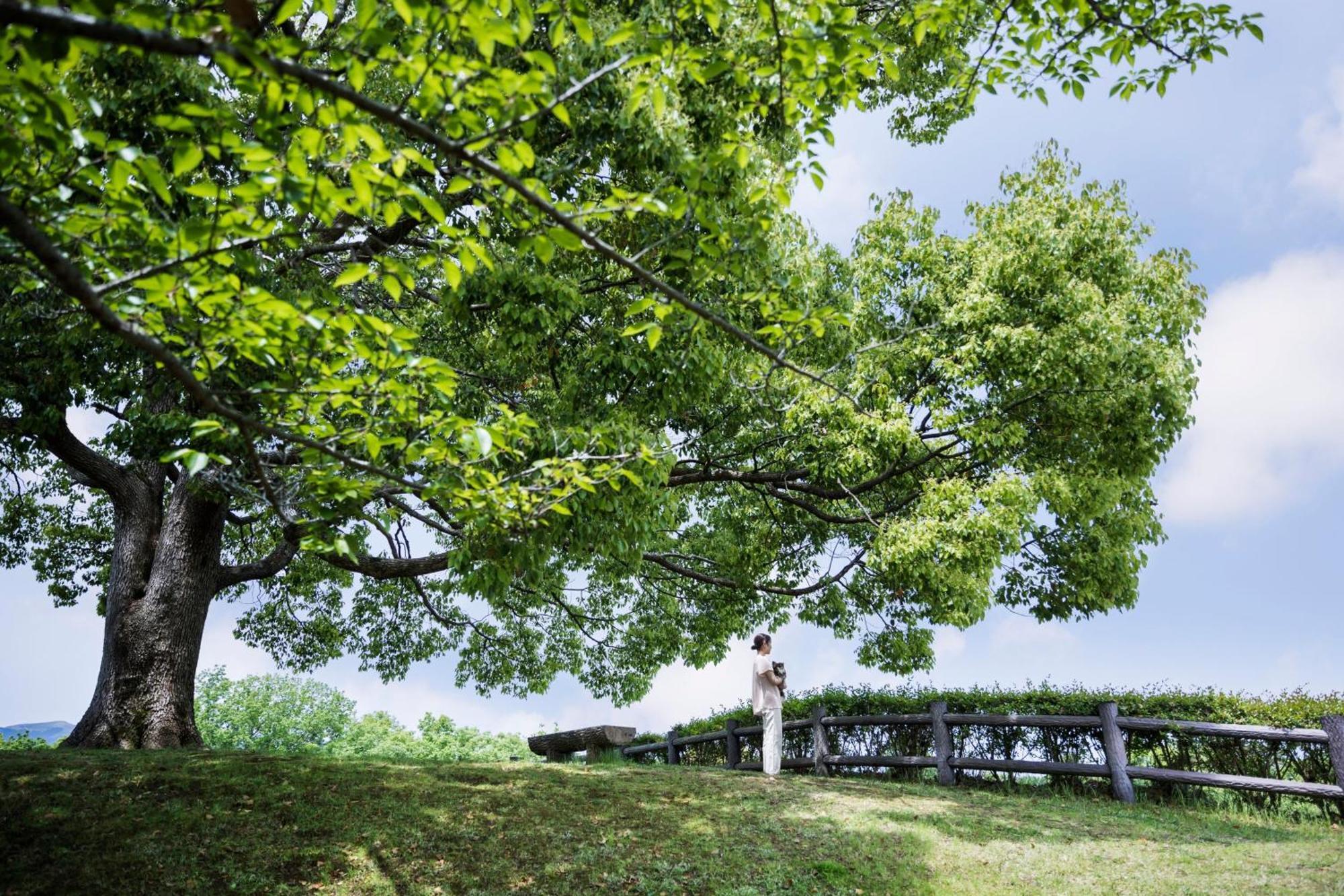 Izu Marriott Hotel Shuzenji Екстер'єр фото